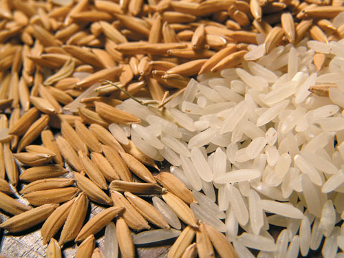 arroz-beneficiado.jpg