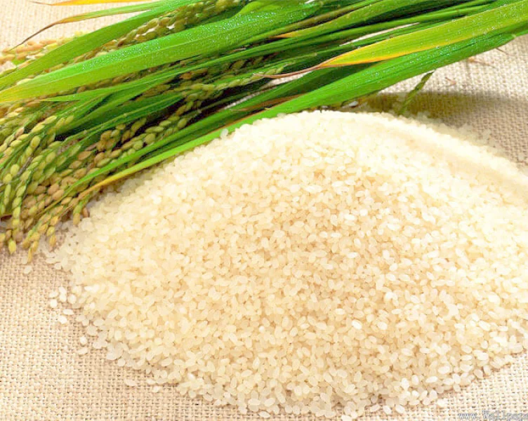 quirera-de-arroz.png