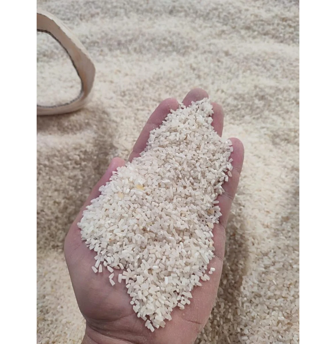 quirera-de-arroz.webp