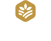 Veneza Alimentos